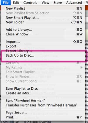 iTunes 7 backup menu